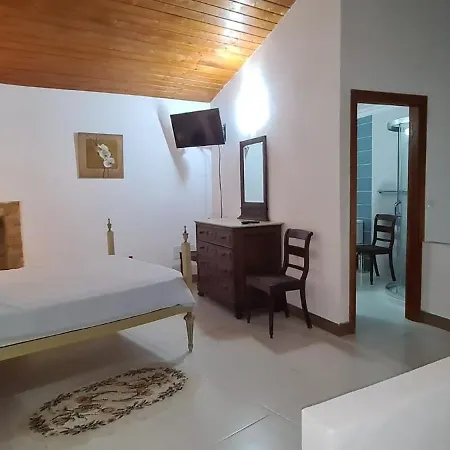 Solar Dos Araujo Coutinho - Casa Dos Cavaleiros - Turismo Habitacao Homestay